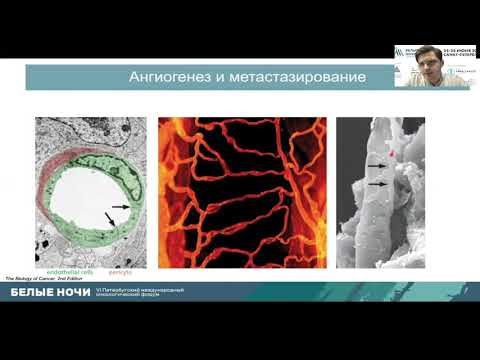 Видео: Hallmarks of Cancer или в чем сила опухоли (Кушнарев В.А.)