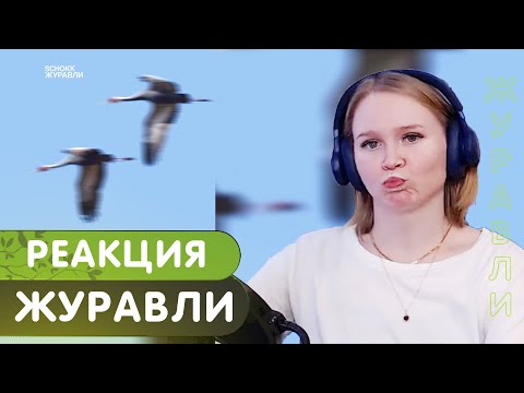 Видео: Реакция на SCHOKK - Журавли