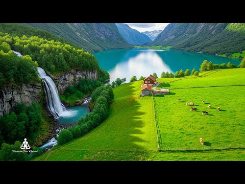 Видео: Восстановите нервную систему 🌿 Расслабляющая и красивая музыка, звуки природы