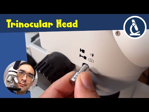 Видео: 🔬 Что такое соотношение фотоэлементов? | Любительская микроскопия