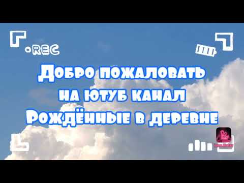 Видео: Как поймать крота, самый эффективный способ. Проводим газ в деревенский дом в белорусской деревне.