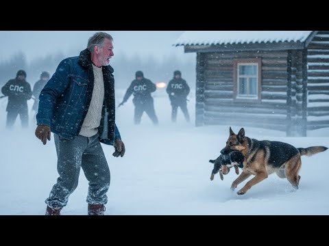 Видео: Спасена из метели: чудесная овчарка и код-ошейник P-9