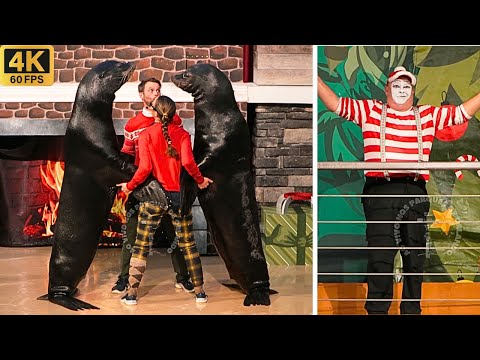 Видео: Клайд и Симор с Томом-мимом 🎄Обратный отсчёт до Рождества 2025 🎄Полное шоу, эксклюзивный абонемент