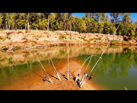 Видео: Ловля речных монстров в ГЛУБОКИХ ямах! (БОЛЬШАЯ рыба!)