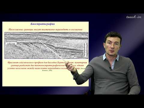 Видео: Габдуллин Р.Р. - Секвентная  стратиграфия - 8. Связь секвентной стратиграфии и биостратиграфии