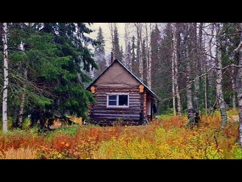 Видео: Сбор клюквы и варка морса. Жизнь в избе осенью.