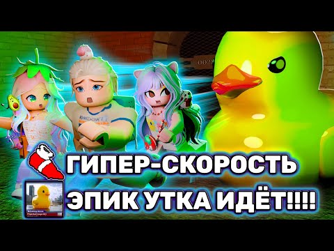 Видео: САМЫЙ БЫСТРЫЙ РЕКОРДНЫЙ РАН В ГРЕЙС!