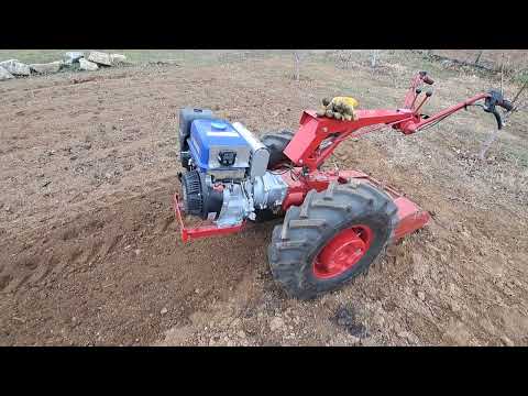 Видео: Фрезой с МотоБлок Беларус 20-Фев-24.