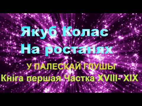 Видео: 18-19. Аўдыёкніга Якуба Коласа У палескай глушы  18 -19 часткі   9 клас 2016 год
