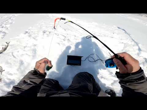 Видео: Рыбалка на реке. Погоня за трофеем. Часть первая.