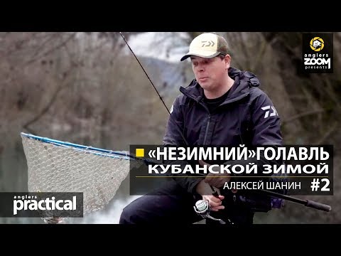 Видео: "Незимний" голавль кубанской зимой. Алексей Шанин. Часть 2. Anglers Practical