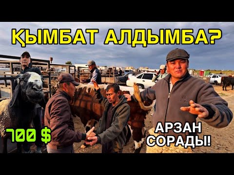 Видео: ҚОШҚАР АЛДЫМ! 28- СЕНТЯБР ШЫМБАЙ МАЛ БАЗАРЫ БАХАЛАРЫ ӨЗГЕРДИ!