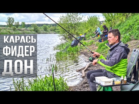 Видео: Юра Лисовский на реке ДОН / КАРАСЬ на ФИДЕР