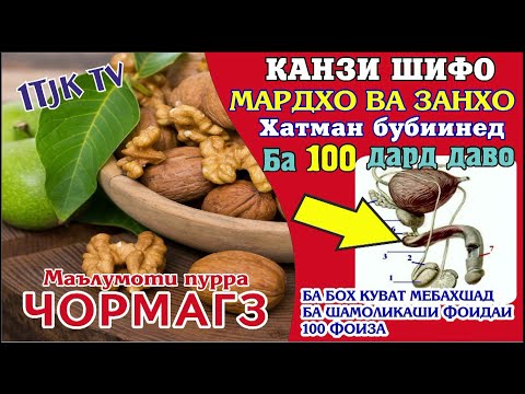 Видео: Чормагз ба саломати чи фоида дорад Канзи Шифо