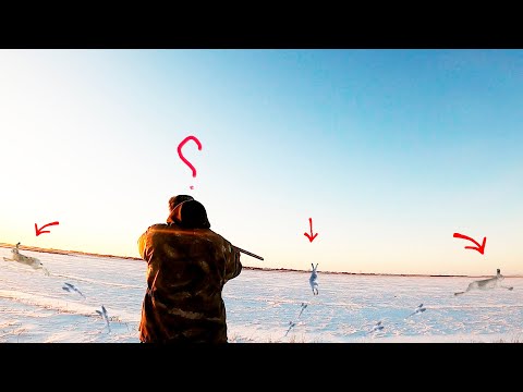 Видео: Тропление, один выстрел, три зайца: Скидка на скидке.