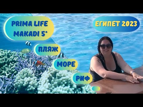 Видео: Prima Life Makadi 5*. Бассейн, пляж, море, коралловые рифы. Обзор отеля. Египет, Хургада 2023.