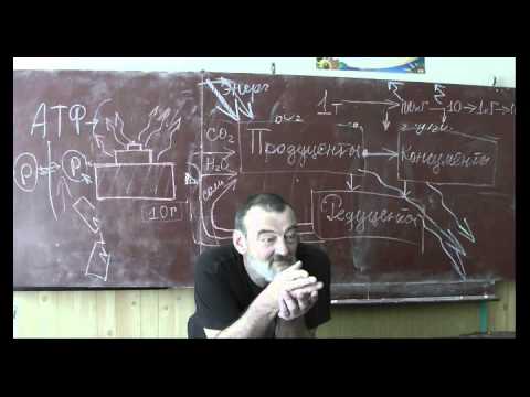 Видео: Драконоведение. Часть 26