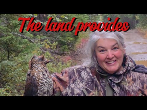 Видео: Жизнь вне сети! Рябчики, брёвна и домашние помидоры #ньюфаундлендлабрадор #образжизнивнесети