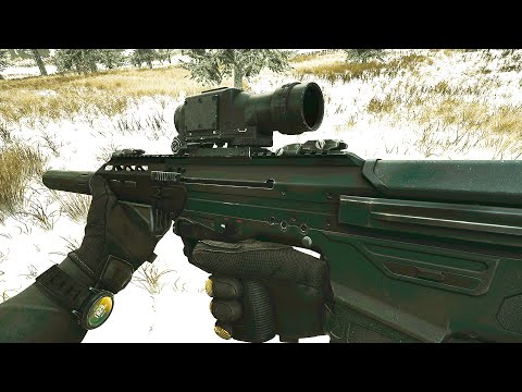 Видео: DT MDR 7.62 | ИДЕАЛЬНАЯ ВИНТОВКА | ТАРКОВ