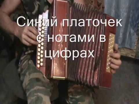 Видео: Синий платочек с нотами в цифрах
