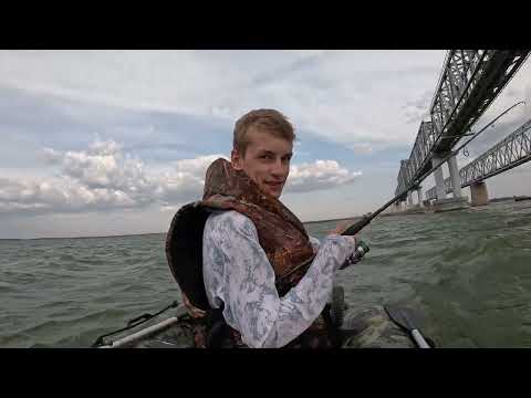 Видео: ДОН. БЕШЕННЫЙ КЛЁВ на вечорке. #судак #fishing
