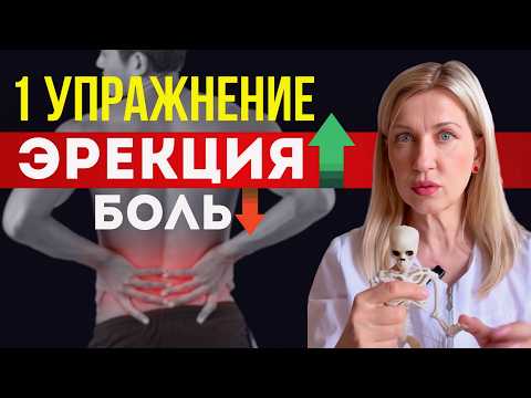Видео: Делай ЭТО упражнение – УЛУЧШИ ЭРЕКЦИЮ и уменьши боль в спине