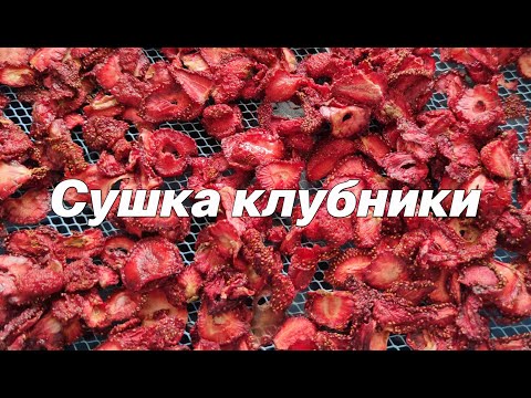 Видео: Пошаговая сушка клубники в сушилке Элвин СУ-1