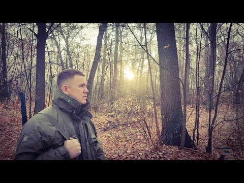 Видео: ОХОТА,видел косуль,нашел новые места,hunting