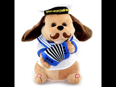 Видео: Собачка-ловелас "Черноморский флот"