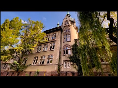 Видео: Страсбург Честь 2 - Астрономические Часы - Самый Старый Отель Страсбурга - Гуляем - Разговариваем