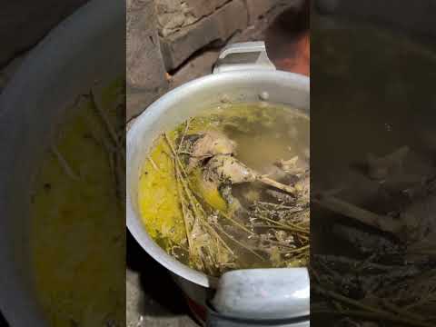 Видео: В zasade 🦅 суровых горах 🏔😎👍