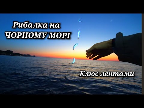 Видео: Рибалка на морі з пірсу.Клює на кожному закиді.
