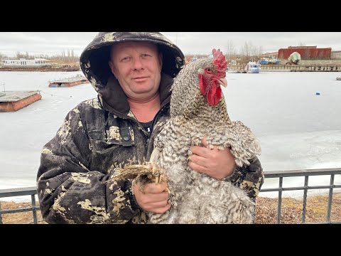 Видео: ГОТОВИМ НА НОВЫЙ ГОД ТОЛЬКО ТАК🌲Рулет из курицы в помпейской печи🐔 и праздничный салат🥗