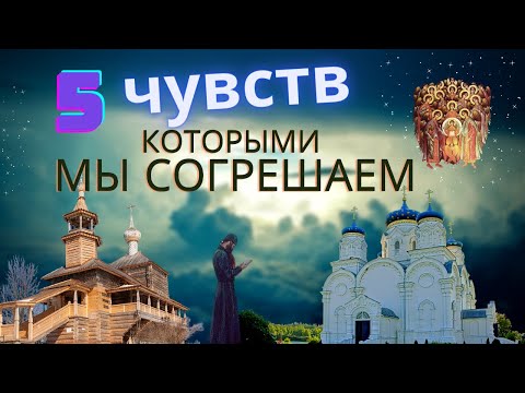 Видео: Как мы Согрешаем Зрением, слухом... - Никодим Святогорец