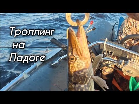 Видео: Рыбалка Ладога Троллинг сентябрь 2025