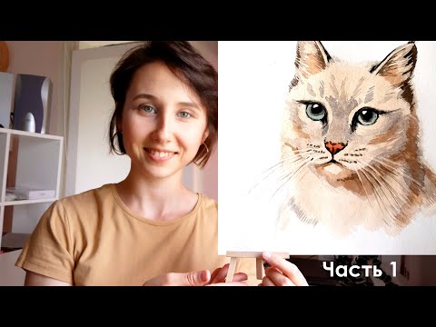Видео: Как нарисовать кота для начинающих. Кот акварелью поэтапно. Урок по акварели
