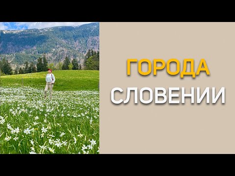 Видео: Жизнь в разных городах Словении (ЕС)