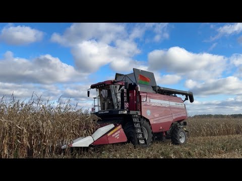 Видео: Молодой комбайнер Игорь Добрусев — гордость семьи 