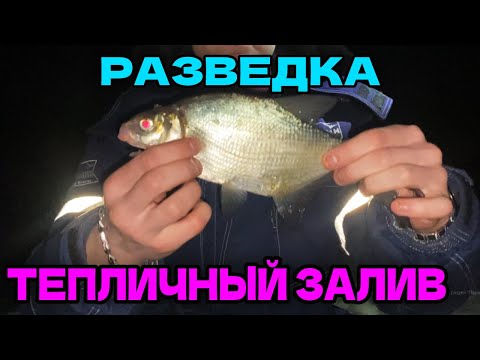 Видео: Разведка по фидеру на Рефтинском Водохранилище. Рыбка пока бастует.