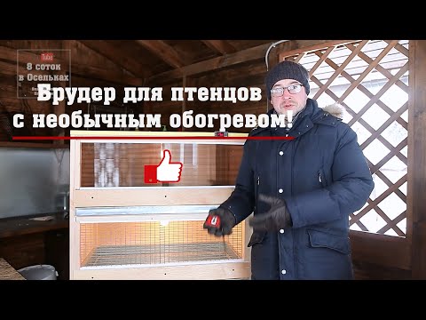 Видео: Брудер для птенцов с необычным обогревом!