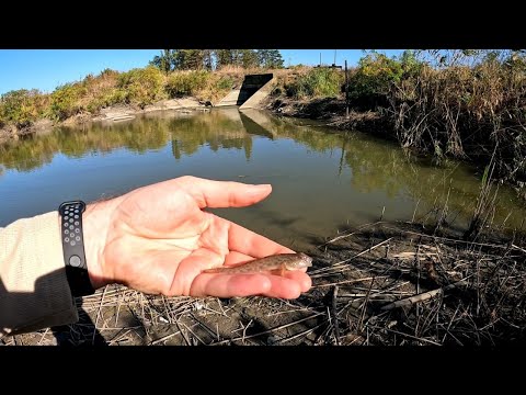 Видео: Мормышинг и наноджиг с нано-рыбой.