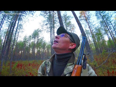 Видео: Ходовая охота/ Иду на лай собаки, я не ожидал это увидеть! 4 серия