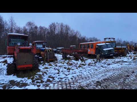 Видео: ОДИН в ТАЁЖНОЙ ИЗБЕ. ПОЛИГОН БРОШЕННОЙ ТЕХНИКИ: ДТ-75, ГАЗ-66. СПАСЕНИЕ ДИКОГО КАБАНА. ПЛАНЫ 2025г