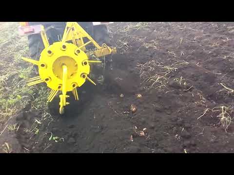 Видео: Трактор джинма с кортофелекопателем КТН-1Б