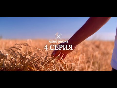 Видео: Посев риса с помощью DJI Agras T50 в Казахстане! (Часть 4 из 4)
