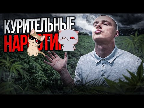 Видео: ПРИСЕЛ, ДУНУЛ И ПОДУМАЛ | ОТ ТРАВЫ ДО СОЛЕЙ | С ЧЕГО ВСЕ НАЧИНАЕТСЯ