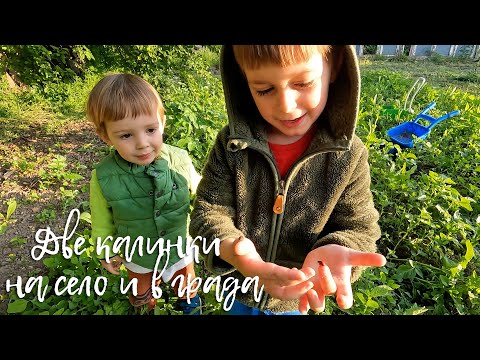 Видео: Едно семейство на село - Две калинки на село и в града