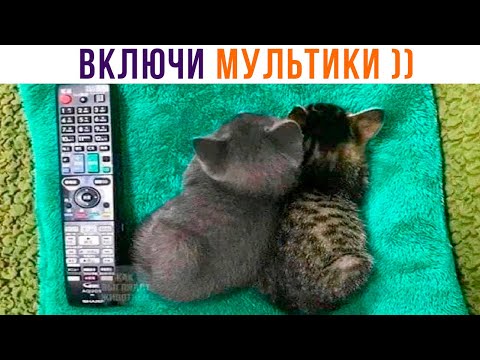 Видео: ВКЛЮЧИ МУЛЬТИКИ ))) Приколы | Мемозг 1199