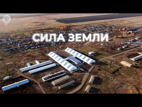 Видео: Программа "СИЛА ЗЕМЛИ" | 31 марта 2023 | Телеканал ОТС