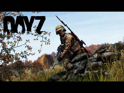 Видео: Вернулся на ЧЕРНО  Ищу МАШИНУ !!! В DAYZ 1.29